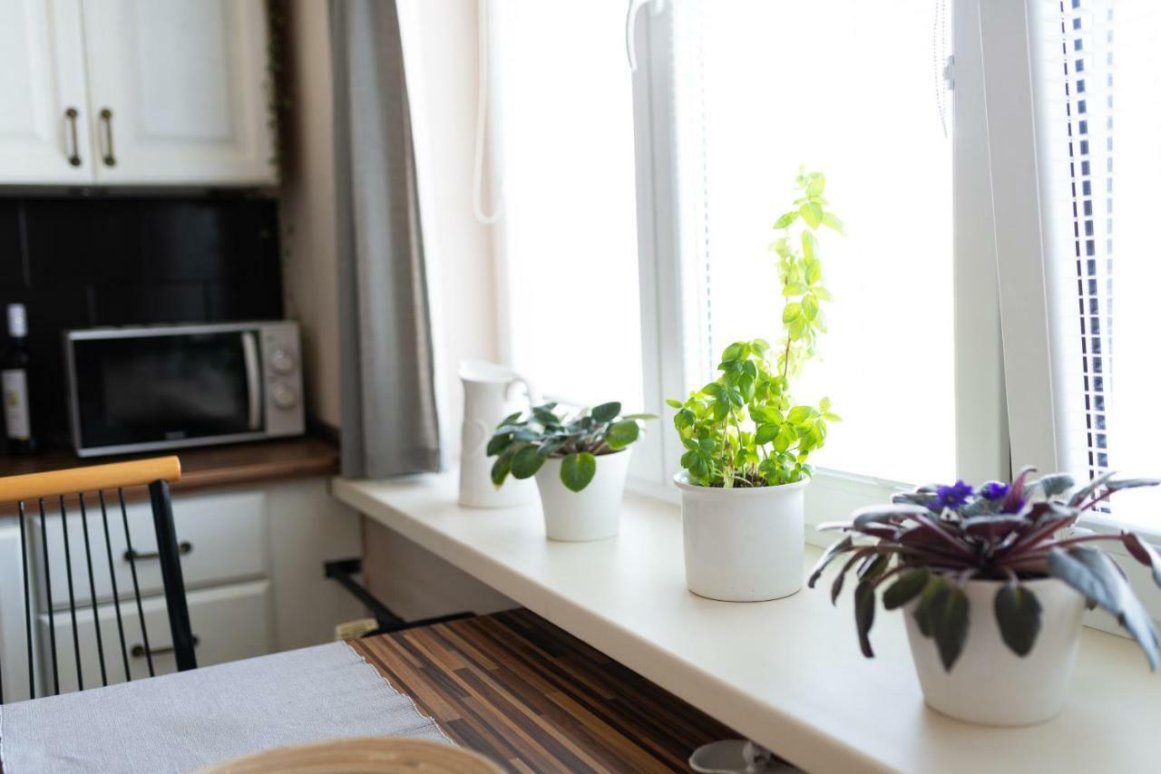 Old Town Vintage Apartment Sturova Кошице Екстериор снимка